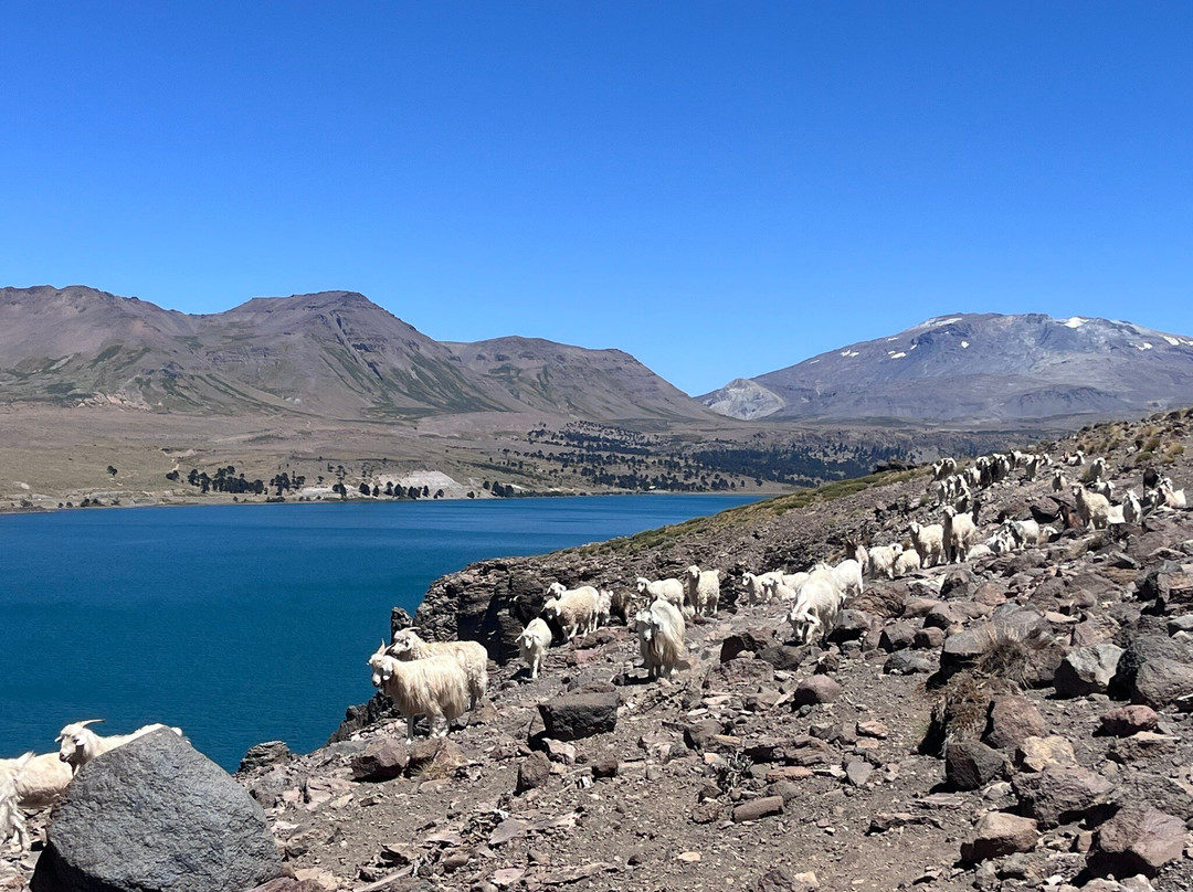 Puente De Piedra-Caviahue必去景点