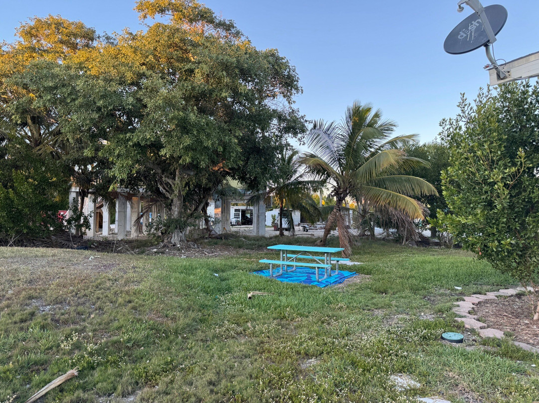 Old Wooden Bridge Marina主图