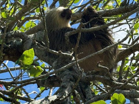 Maratopia-利蒙港必去景点