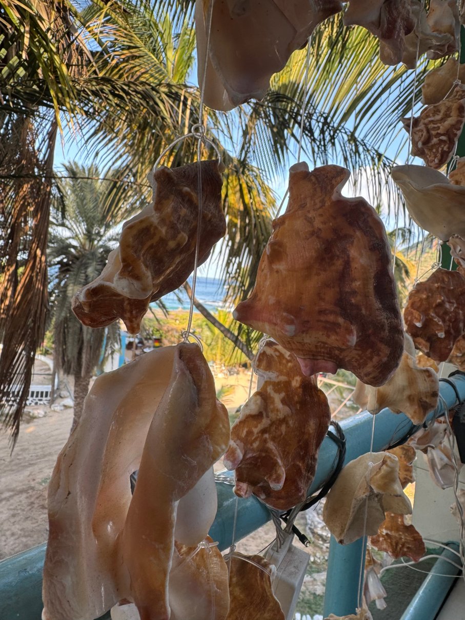 Baia verde SA-官方