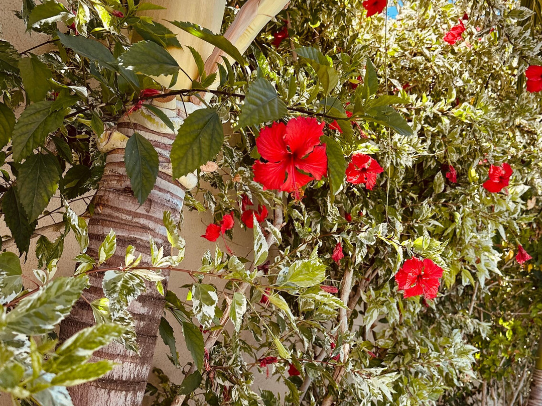 Pousada Rancho Paraiso