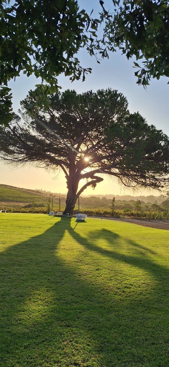 格罗恩威农场自住旅馆-官方