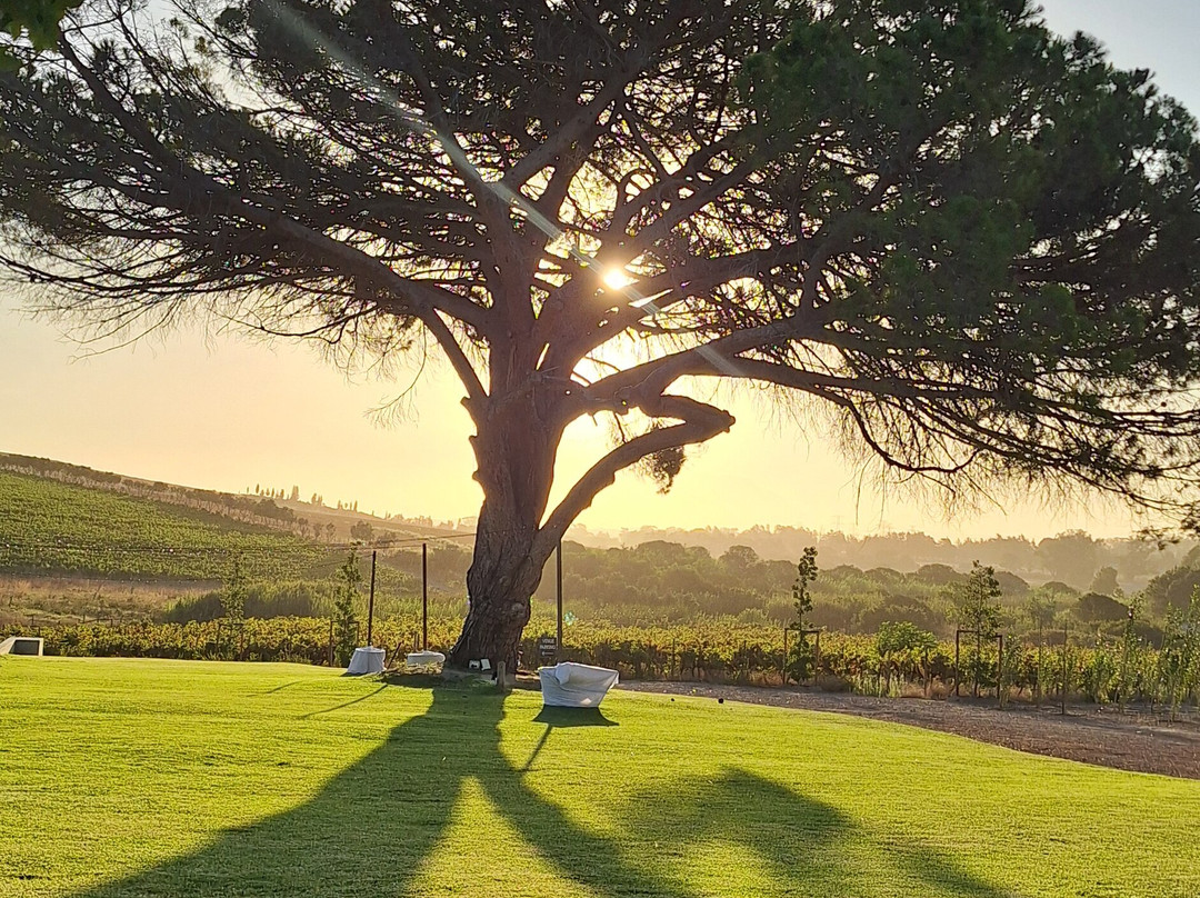 格罗恩威农场自住旅馆主图