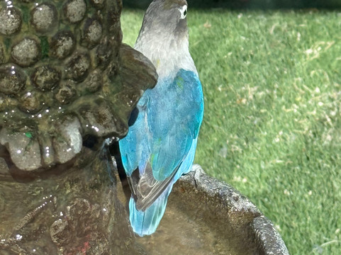 Pai Pai Ecotourism Park-恩塞纳达必去景点