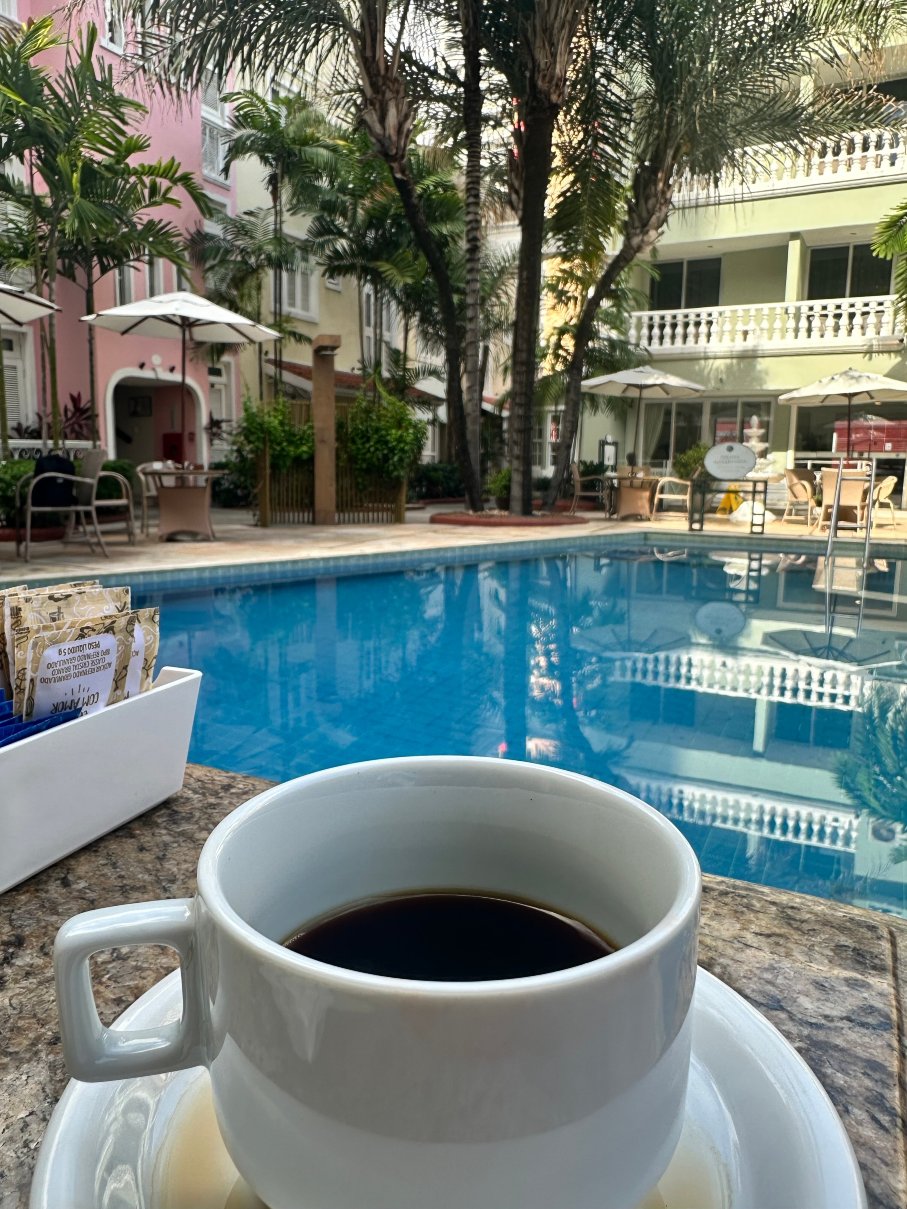 Hotel Villa Mayor-泳池