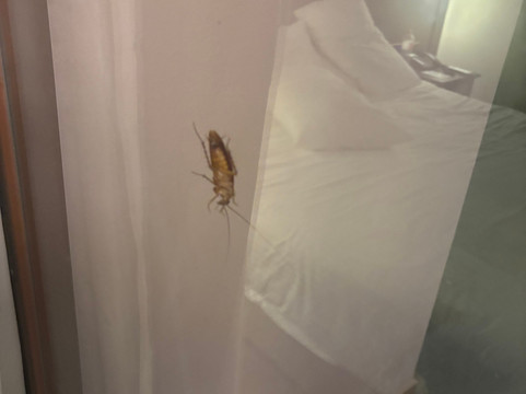 维拉弄宾高尔夫度假村主图