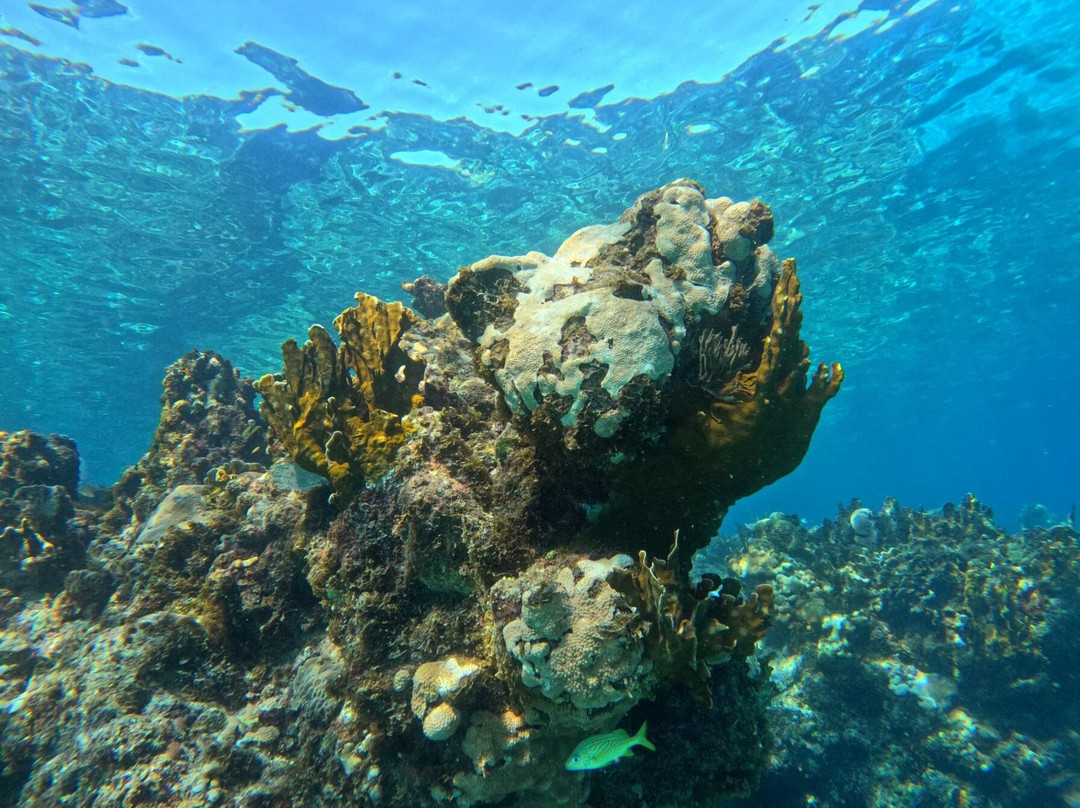 Varadero Diving Tour-Playa Larga必去景点