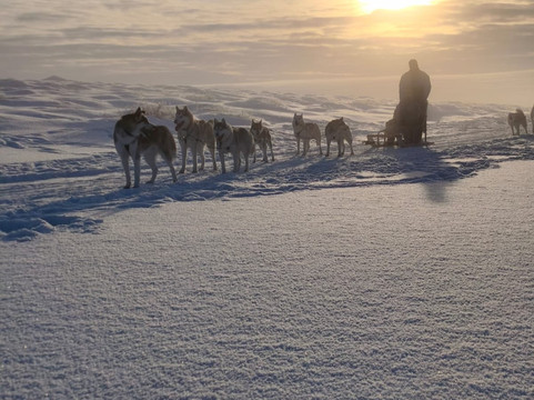Snow Dogs-米湖必去景点