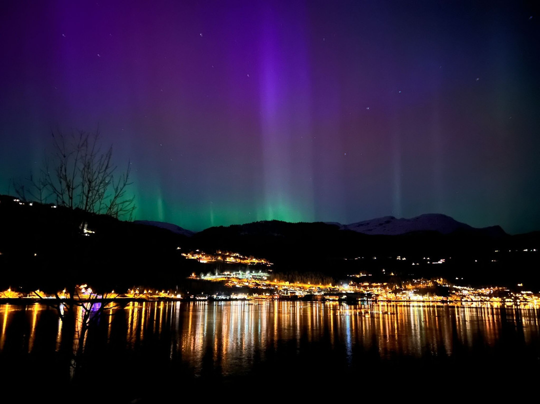 Wollert'n AS-Ulvik必去景点