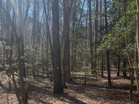 Wahrani Nature Park-New Kent必去景点