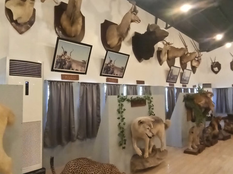 Baluarte Zoo-维甘必去景点