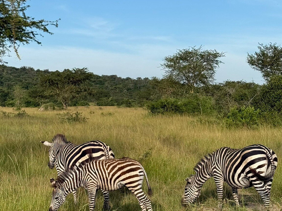 Simba Africa Expeditions Day Tours-坎帕拉必去景点