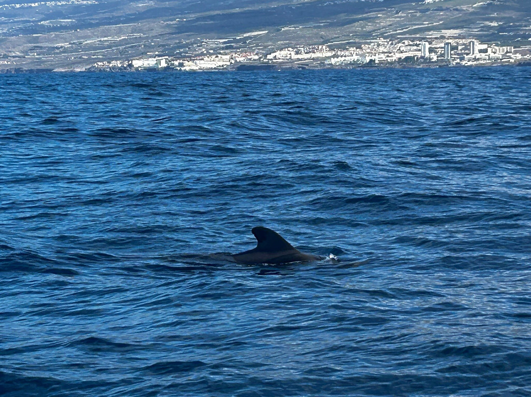 Opera 60 Luxury Charters-奥德杰海岸必去景点