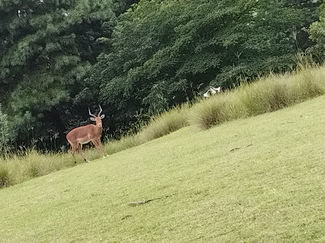马图萨多纳旅馆主图