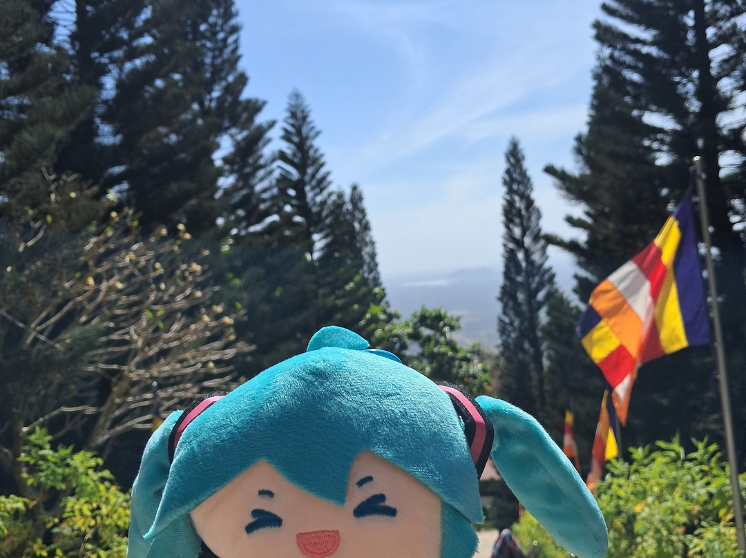 TTC World - Tà Cú-Thi Tran Thuan Nam必去景点