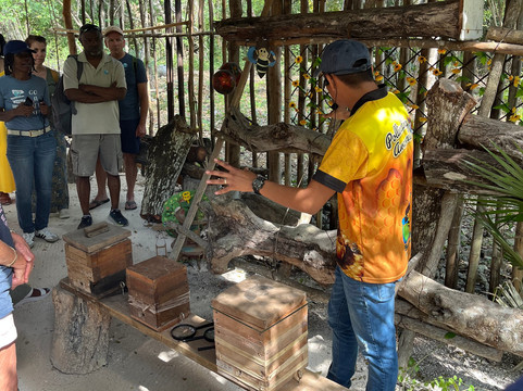 Bee Friendly Conservation Park-考祖梅必去景点