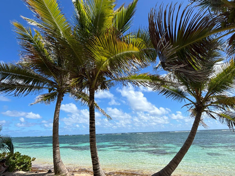 Anse Michel-Sainte-Anne必去景点