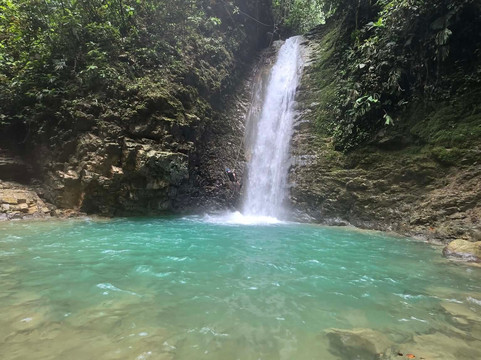 Tropical Escapade-果菲托必去景点