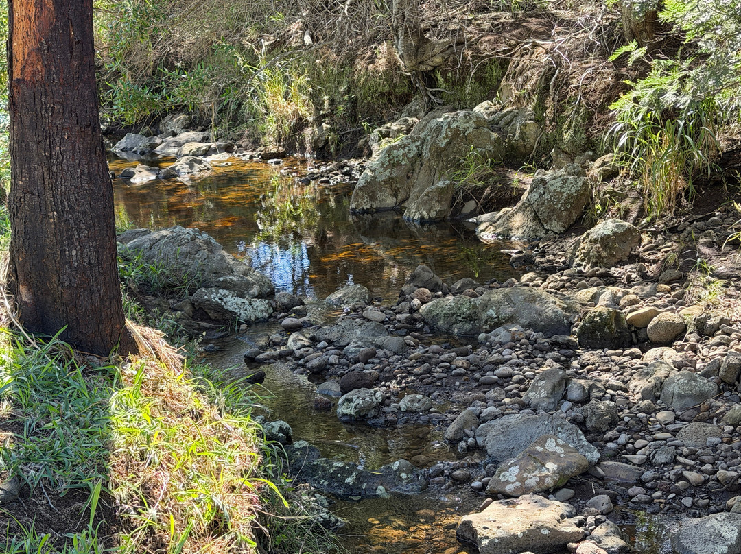 Ulu La'au (waimea Nature Park)-卡慕也拉必去景点