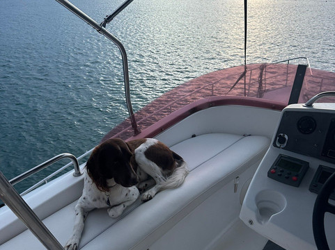 Sailing Outventure Catamaran Tours-雷哈托必去景点