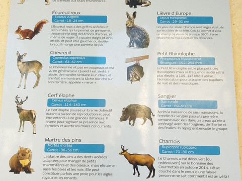 Tourrettes-sur-Loup - Village Medieval-Tourrettes-sur-Loup必去景点