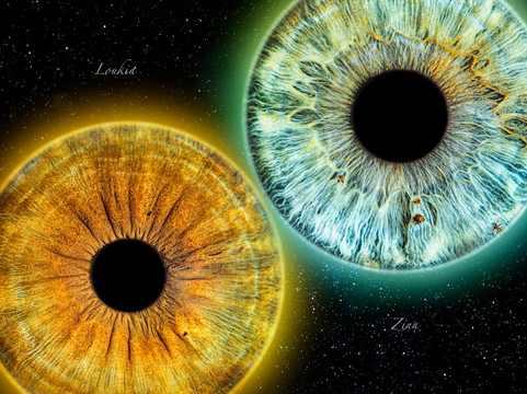 Eyemazy Amsterdam-阿姆斯特丹必去景点