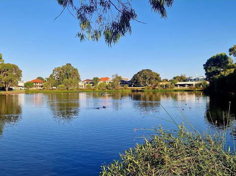 Sir James Mitchell Park-南珀斯必去景点