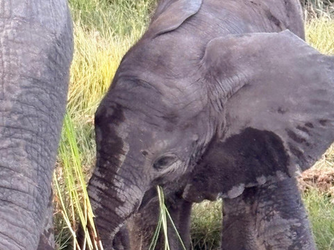 Aventure Safaris-蒙巴萨必去景点