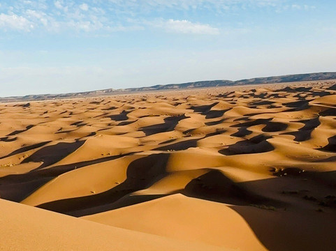 Mélodie du désert-迈哈米德必去景点