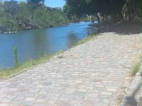 Lago de Regatas-布宜诺斯艾利斯必去景点