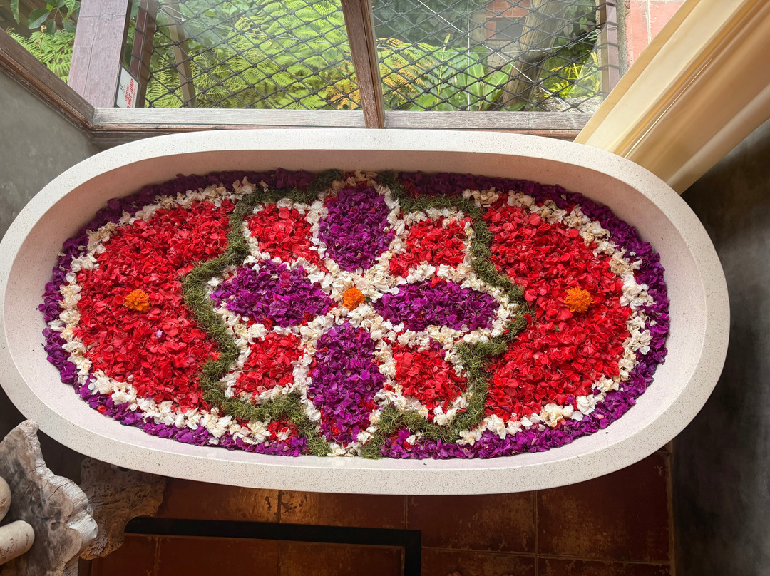 Harsa Sanctuary by GenuineHost