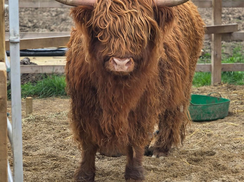 Quex Park-Birchington必去景点
