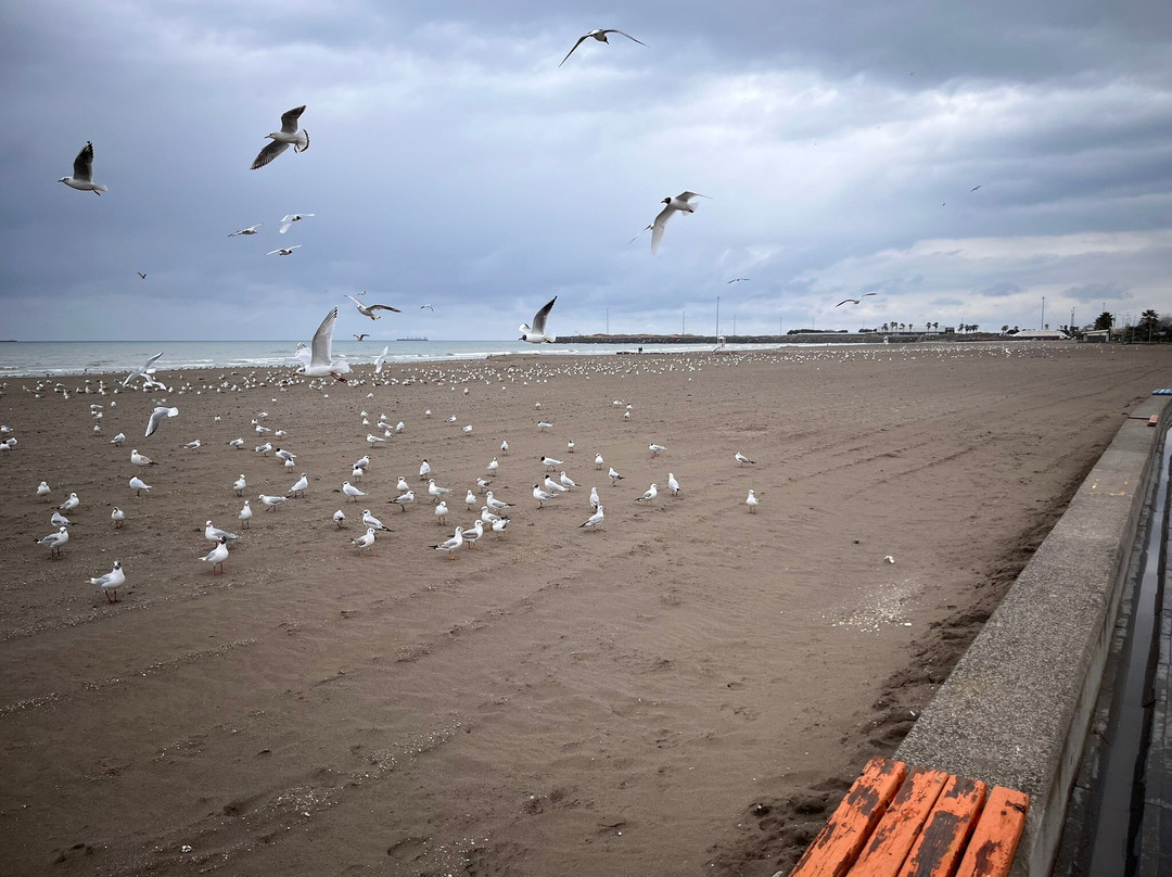 Atakum Sahili-萨姆森必去景点