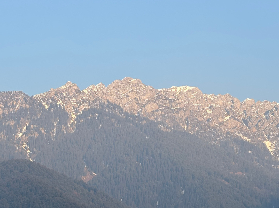 Nishat Tours And Travels-斯利那加必去景点