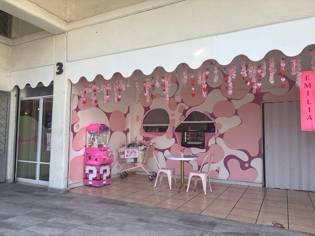 Emilia Café Navegantes