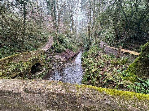 Ninesprings Country Park-约维尔必去景点