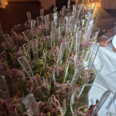 亚西西大酒店-官方