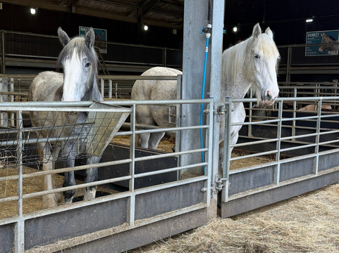 Cannon Hall Farm-Cawthorne必去景点