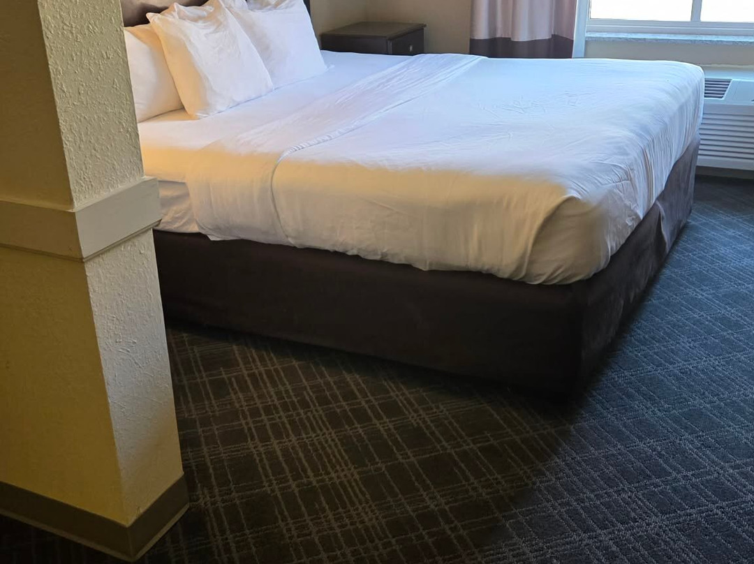 马利耶塔派克斯伯格市舒适套房酒店主图