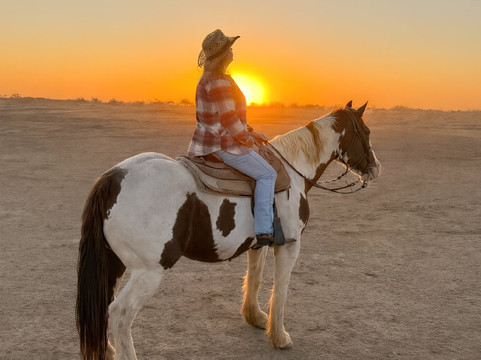 KOLI Equestrian Center-钱德勒必去景点