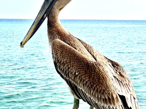 Boynton Inlet-博因顿海滩必去景点