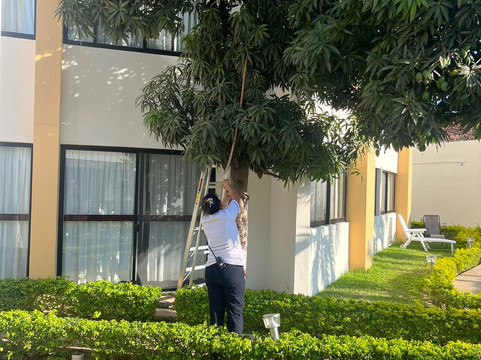 Mayev快速酒店主图