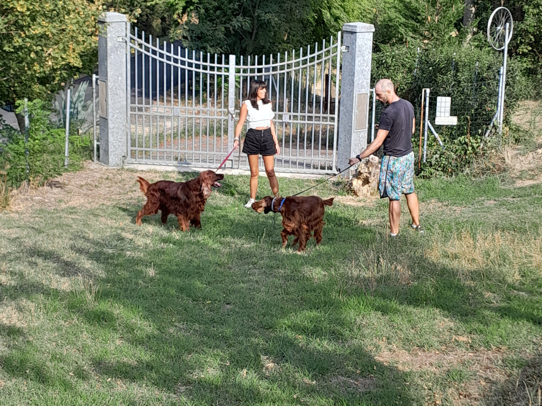 蒙特斯特林诺住宿加早餐旅馆主图