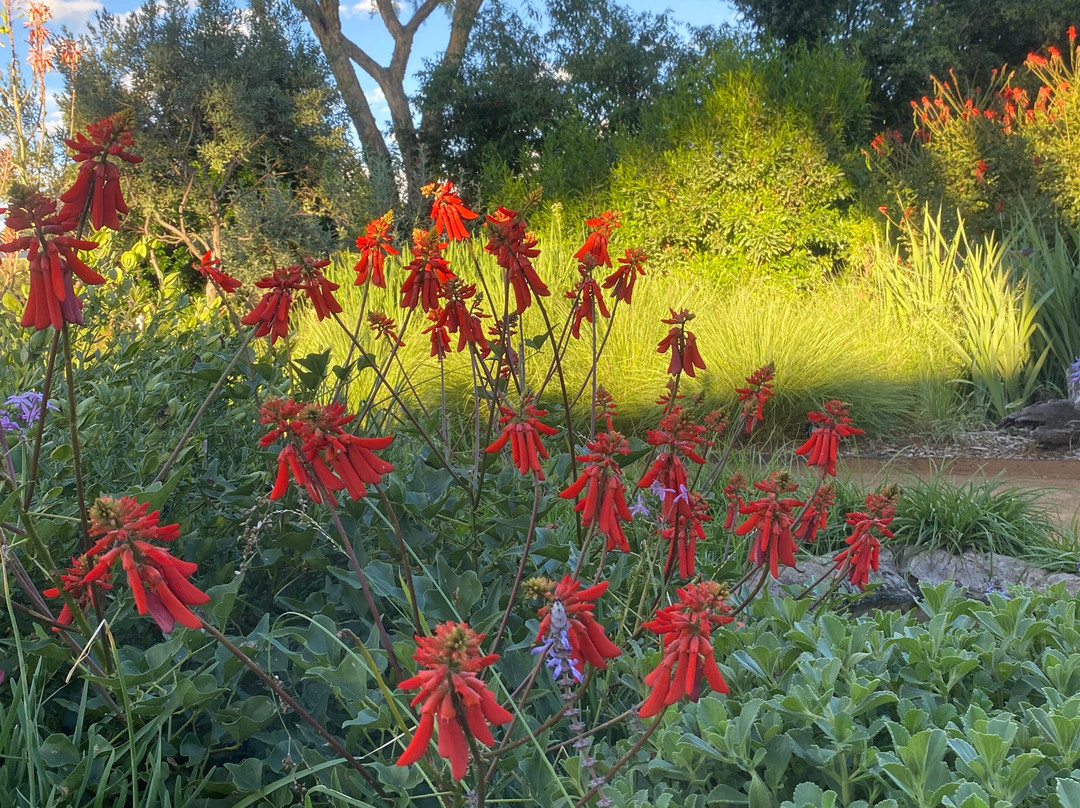 里耶捷波住宿加早餐酒店主图