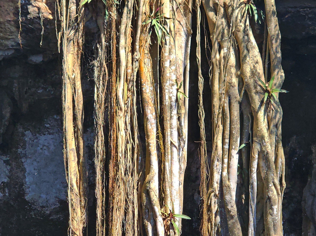 Cénote San Lorenzo Oxman-巴利亚多利德必去景点