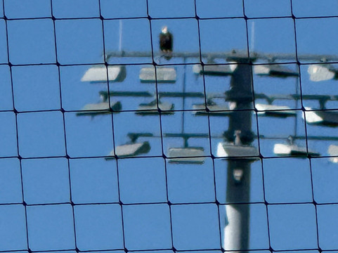 CoolToday Park-North Port必去景点