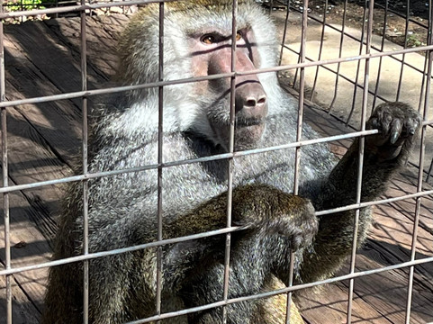 Safari Zoological Park-Caney必去景点