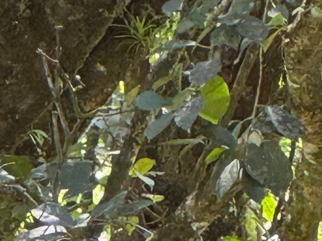 梦想河塞莱斯特民宿主图