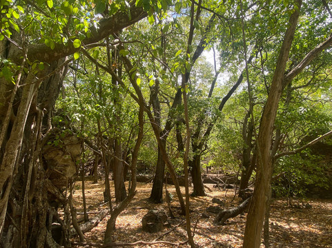 Aqua XS-Le Robert必去景点