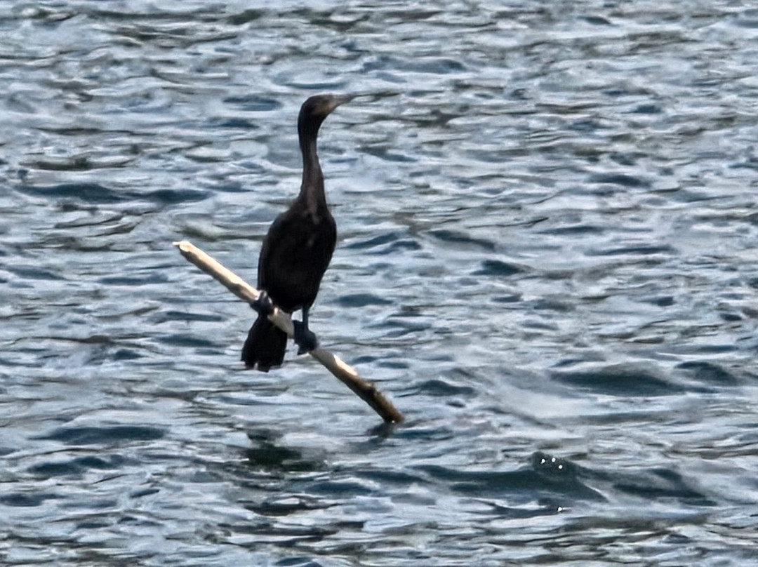 Amstar DMC-利比里亚必去景点